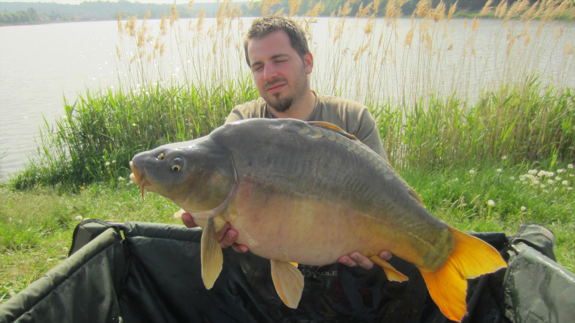 Harsany 1 - 5 mai. - img2693.JPG